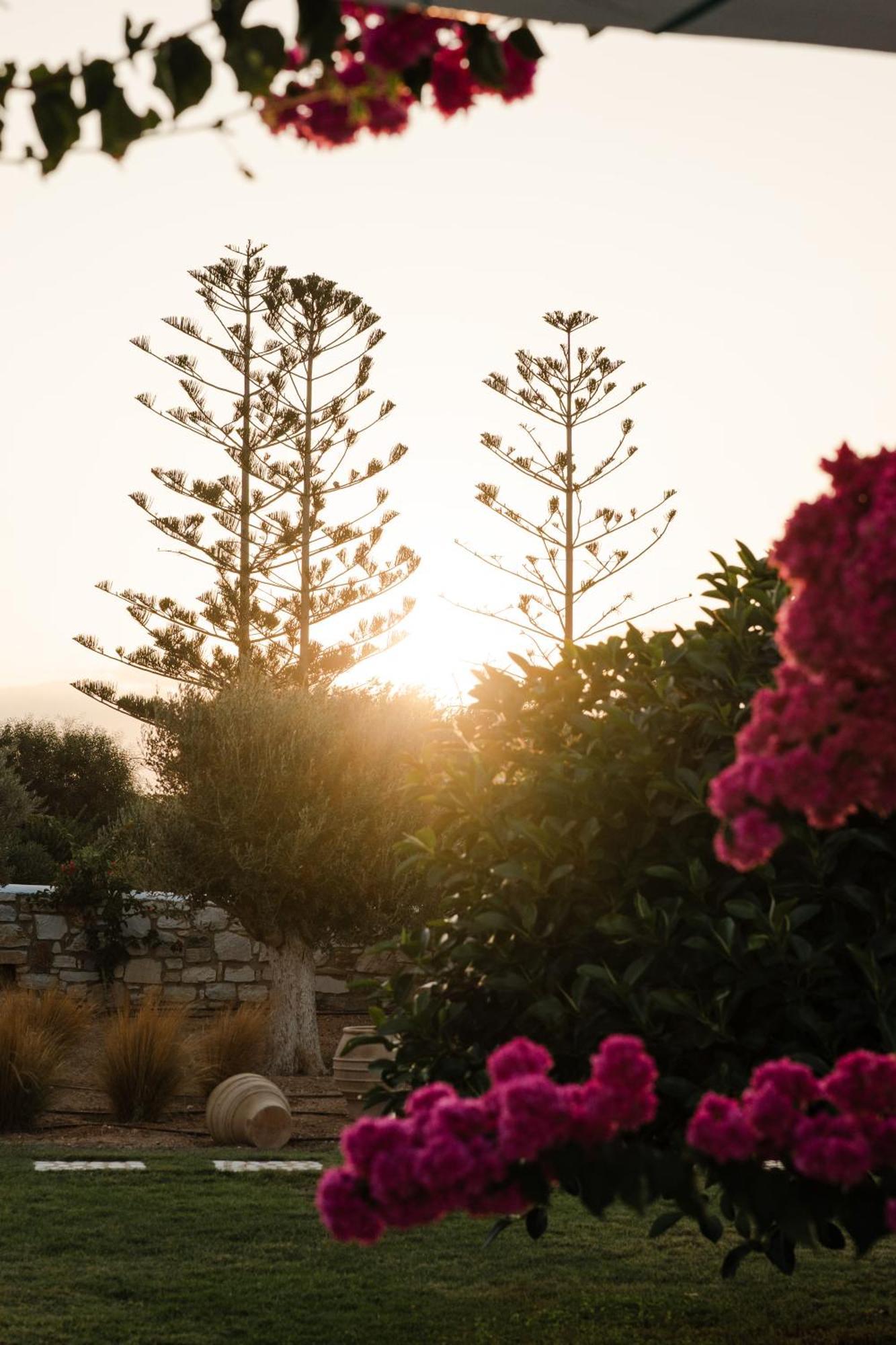סנטה מריה White Dunes Luxury Boutique Hotel מראה חיצוני תמונה