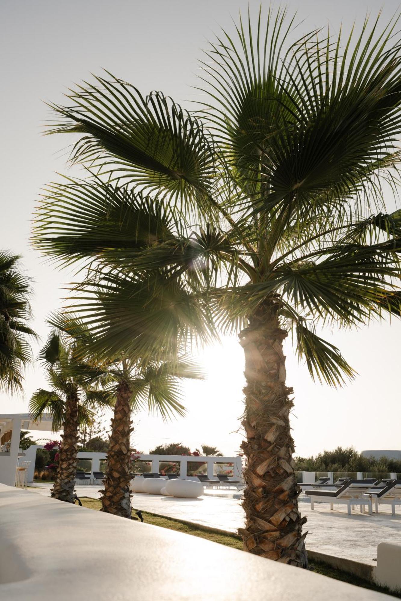 סנטה מריה White Dunes Luxury Boutique Hotel מראה חיצוני תמונה